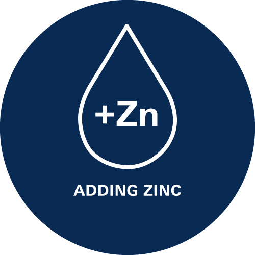 Adding Zinc - Zinc stimultaes your balance.  